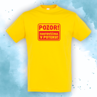 Fantovščina v poteku