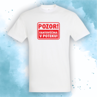 Fantovščina v poteku