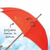 unikatni dežnik DEŽ3-1