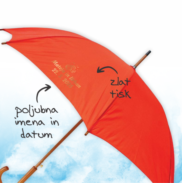 unikatni dežnik DEŽ3-1