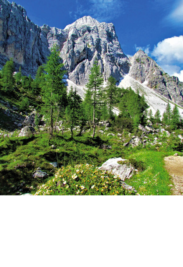 Koledar Alpe Slovenije 2027