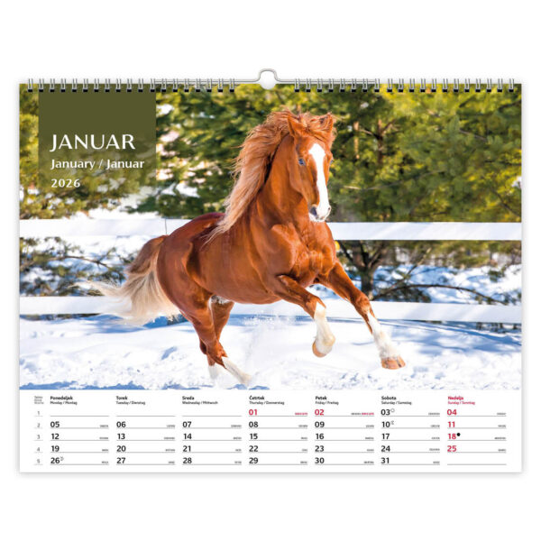 Koledar Konji 2026